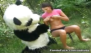 Panda baise un jeune poussin dans le jardin